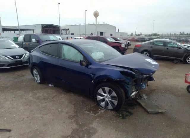 TESLA MODEL Y 2021 5yjygaeexmf180376