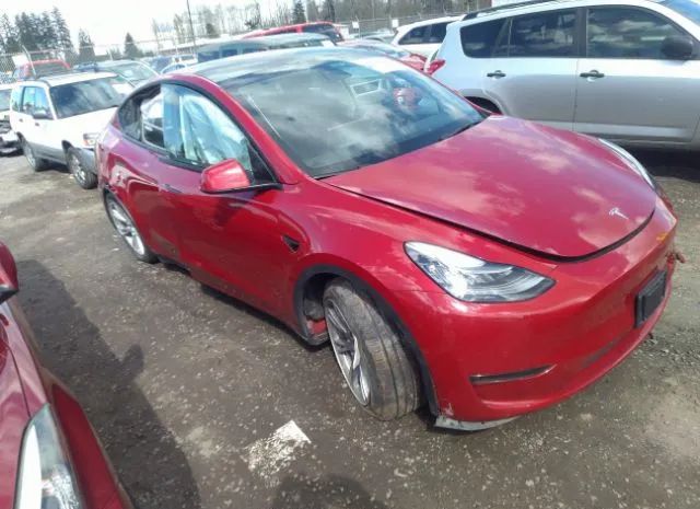 TESLA MODEL Y 2021 5yjygaeexmf200139