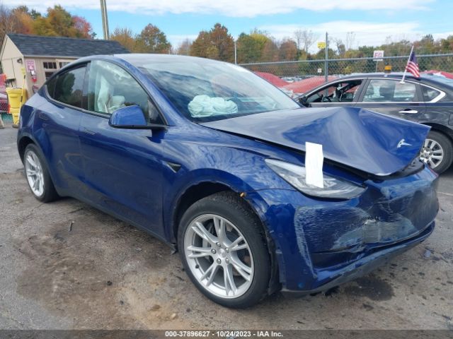 TESLA MODEL Y 2021 5yjygaeexmf211464