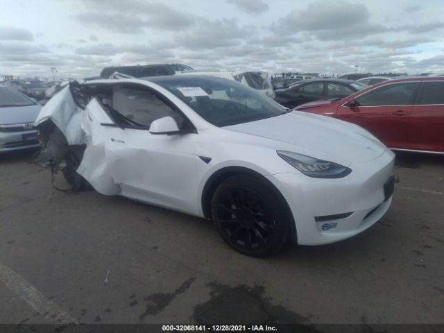 TESLA MODEL Y 2021 5yjygaeexmf212257