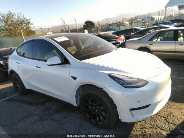 TESLA MODEL Y 2021 5yjygaeexmf218477