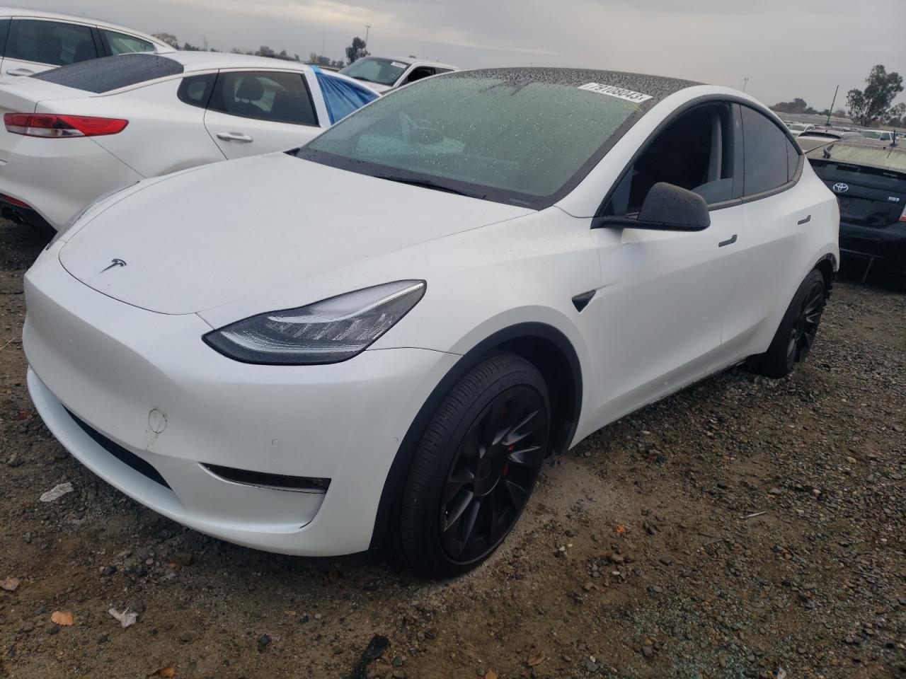 TESLA MODEL Y 2021 5yjygaeexmf282308