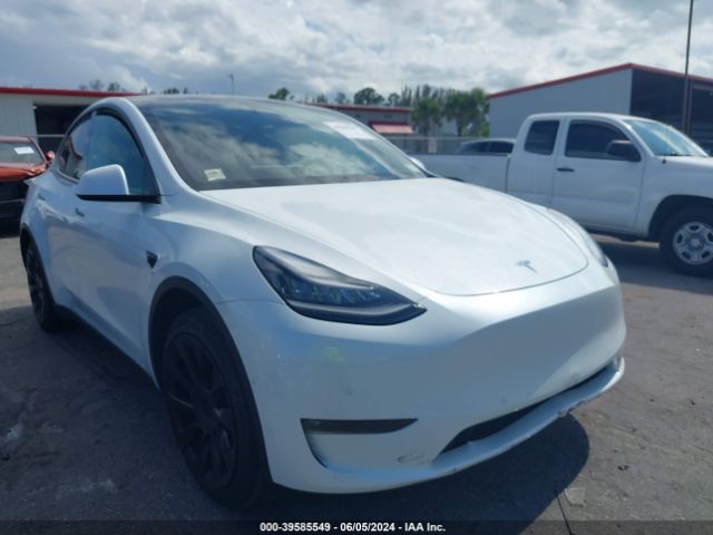 TESLA MODEL Y 2021 5yjygded0mf105730