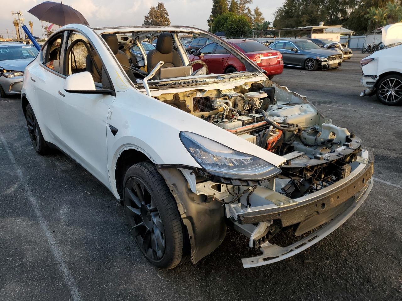 TESLA MODEL Y 2021 5yjygded0mf125945