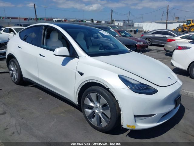 TESLA MODEL Y 2021 5yjygded0mf163207