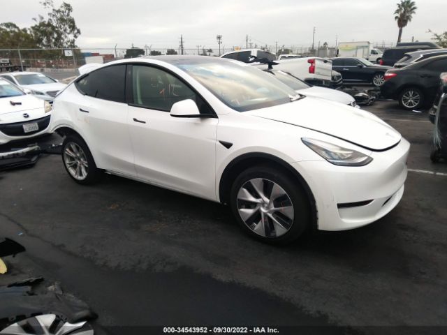 TESLA MODEL Y 2021 5yjygded0mf192867