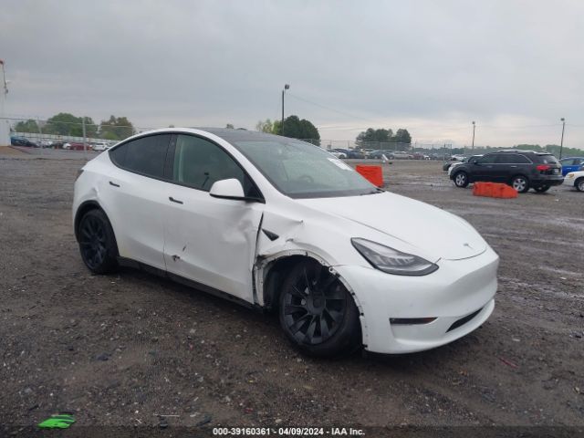 TESLA MODEL Y 2021 5yjygded1mf112914