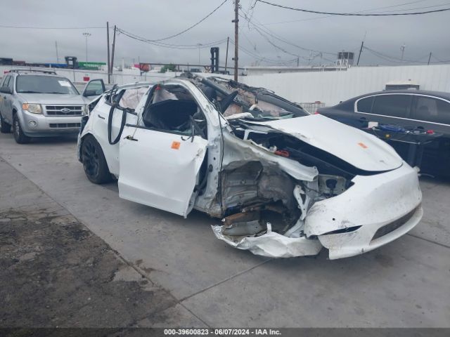 TESLA MODEL Y 2021 5yjygded3mf107116