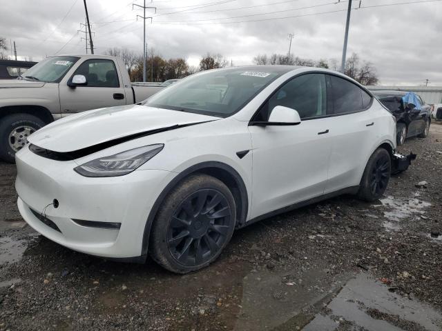 TESLA MODEL Y 2021 5yjygded3mf124160