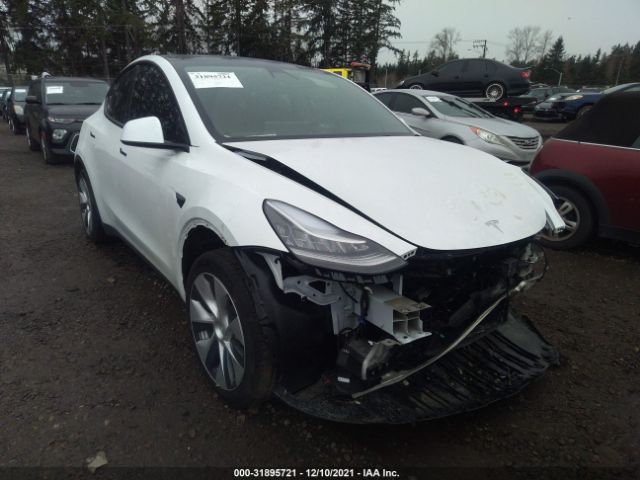 TESLA MODEL Y 2021 5yjygded4mf113992