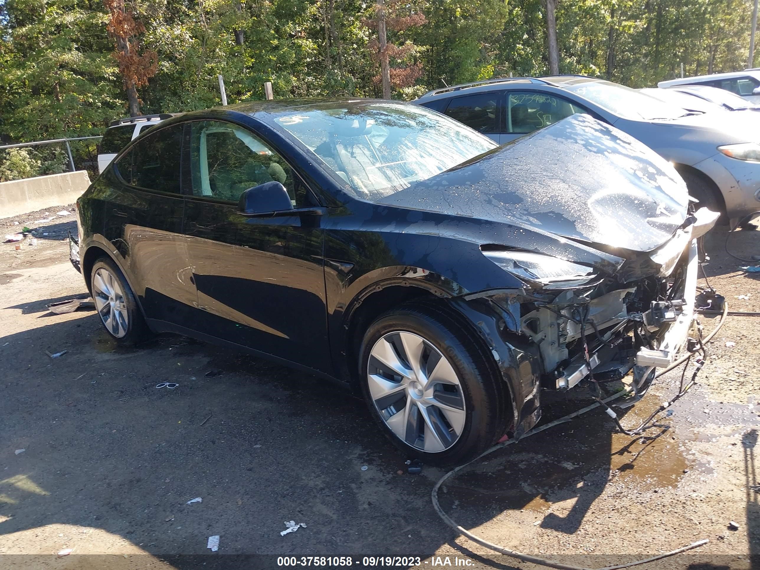 TESLA MODEL Y 2021 5yjygded9mf109646