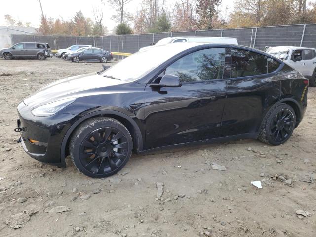 TESLA MODEL Y 2021 5yjygdedxmf116136