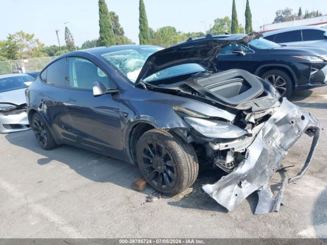 TESLA MODEL Y 2021 5yjygdedxmf134443