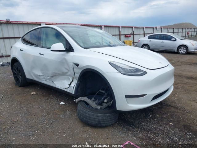 TESLA MODEL Y 2020 5yjygdee0lf022130