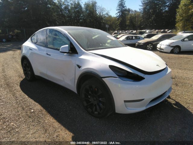 TESLA MODEL Y 2020 5yjygdee0lf055984