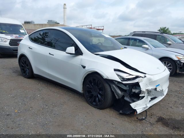 TESLA MODEL Y 2021 5yjygdee0mf072494