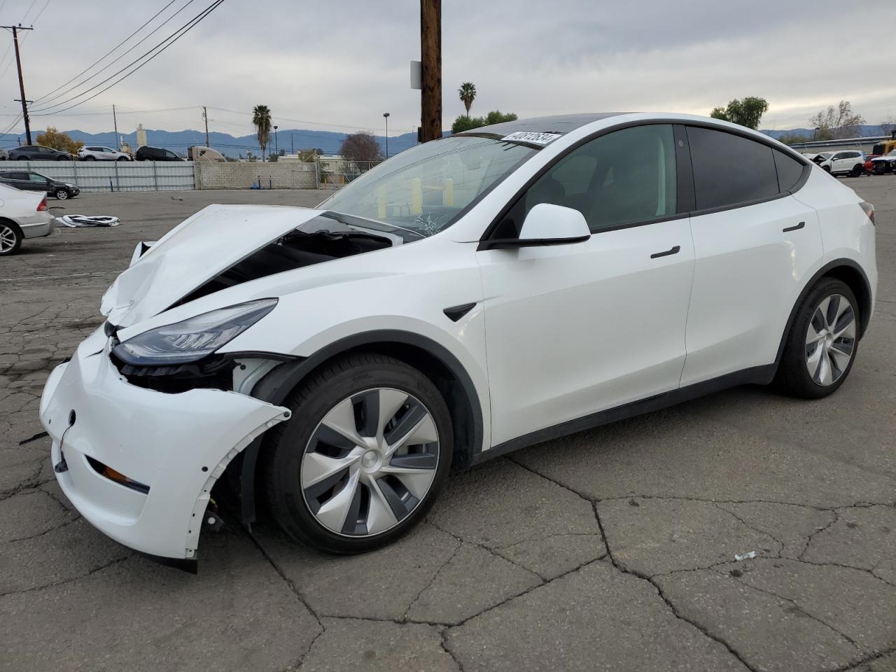 TESLA MODEL Y 2021 5yjygdee0mf077565