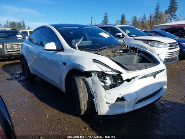 TESLA MODEL Y 2021 5yjygdee0mf087805