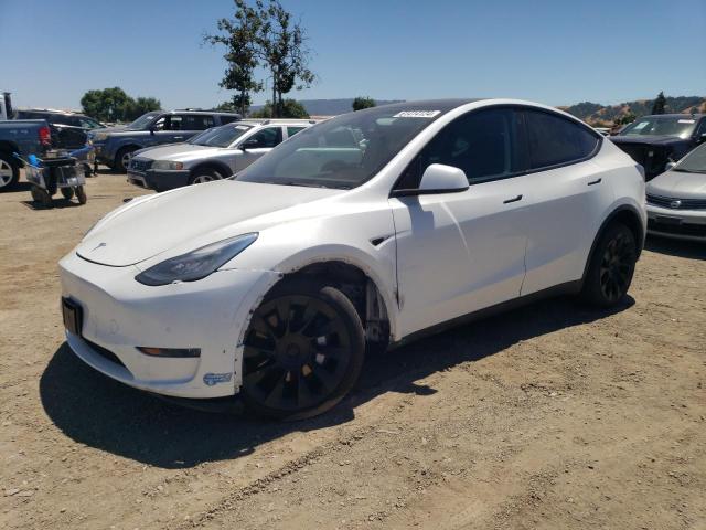 TESLA MODEL Y 2021 5yjygdee0mf104067