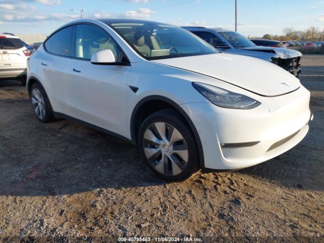 TESLA MODEL Y 2021 5yjygdee0mf109916