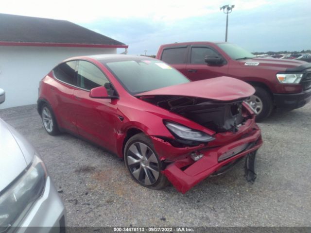 TESLA MODEL Y 2021 5yjygdee0mf118549