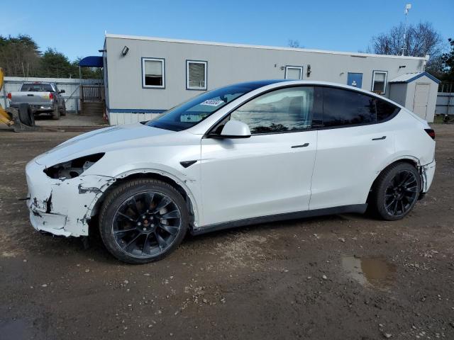 TESLA MODEL Y 2021 5yjygdee0mf119815