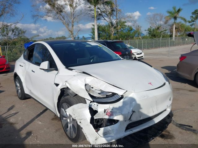 TESLA MODEL Y 2021 5yjygdee0mf131561