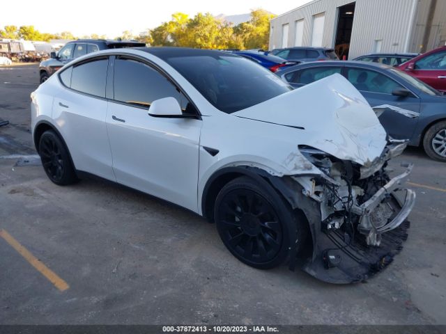 TESLA MODEL Y 2021 5yjygdee0mf138946