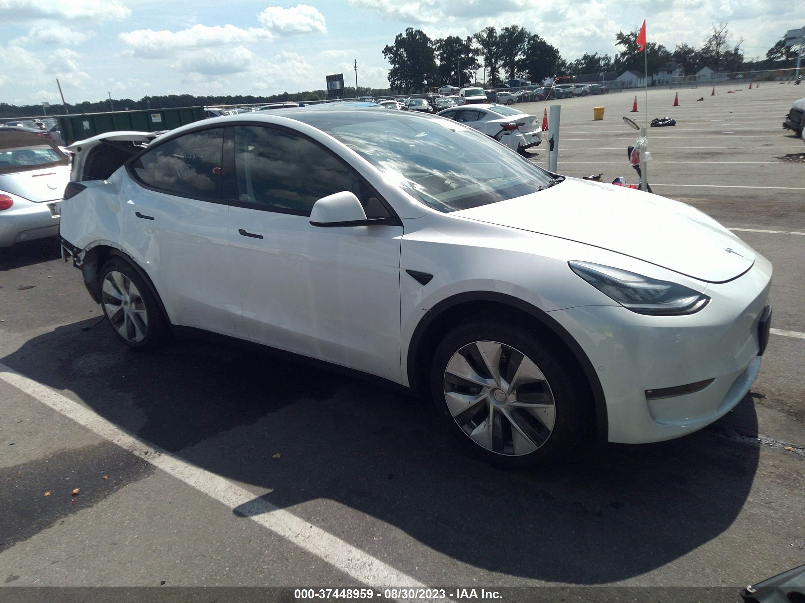 TESLA MODEL Y 2021 5yjygdee0mf145198