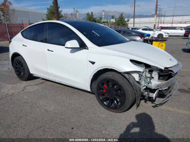 TESLA MODEL Y 2021 5yjygdee0mf161935