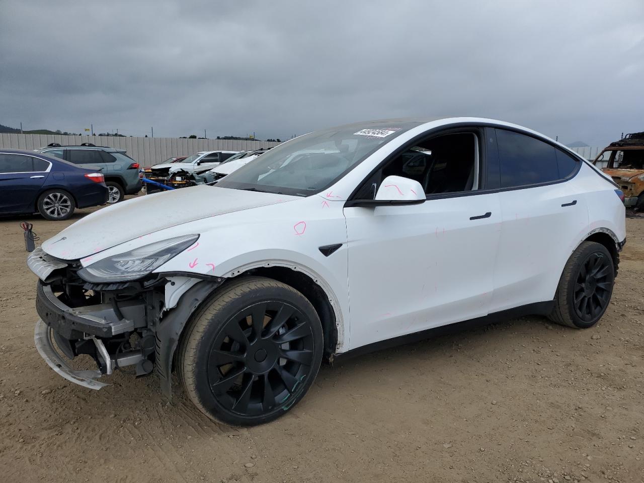 TESLA MODEL Y 2021 5yjygdee0mf162101