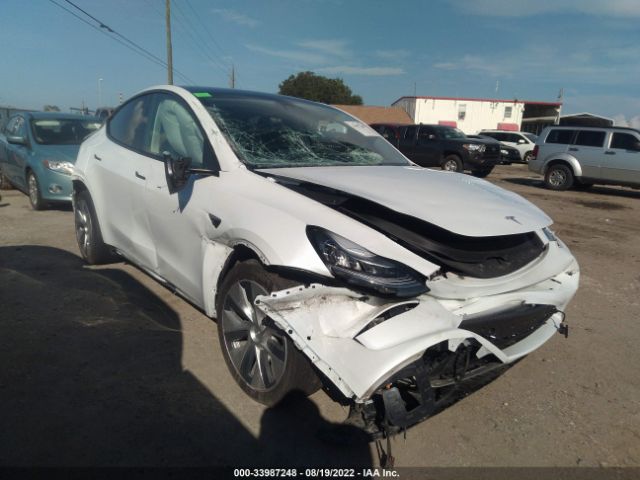 TESLA MODEL Y 2021 5yjygdee0mf174782