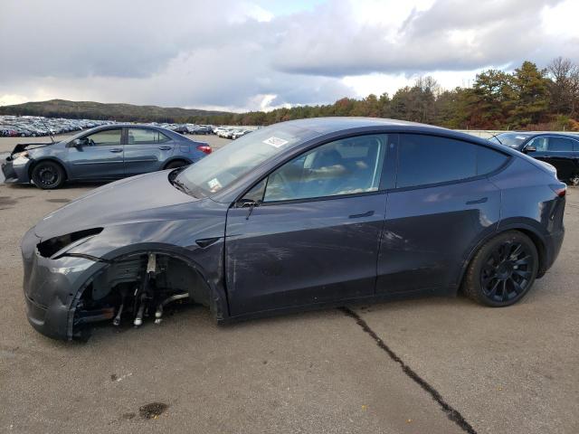 TESLA MODEL Y 2021 5yjygdee0mf175317