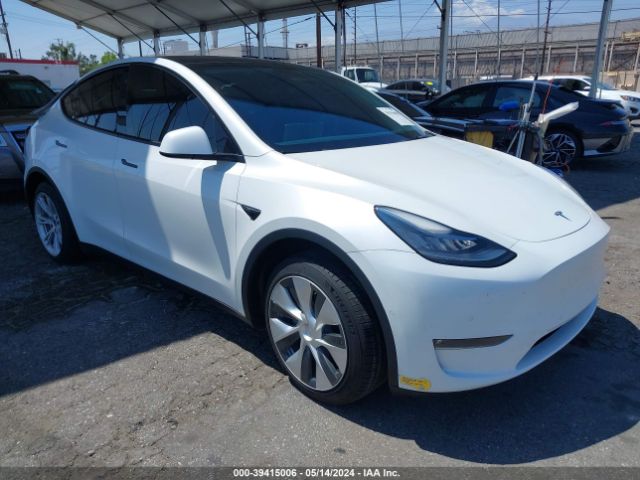 TESLA MODEL Y 2021 5yjygdee0mf203584