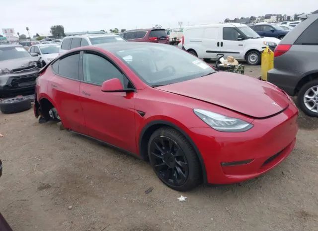 TESLA MODEL Y 2021 5yjygdee0mf217811