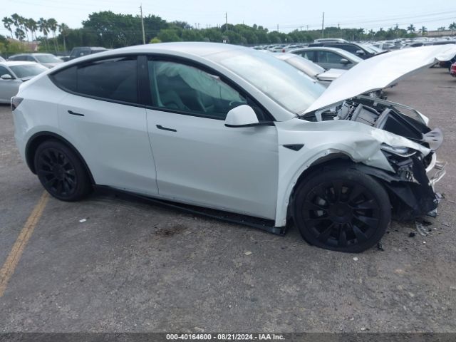 TESLA MODEL Y 2021 5yjygdee0mf260819