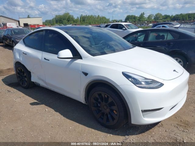 TESLA MODEL Y 2021 5yjygdee0mf295795