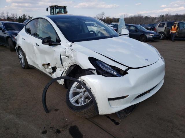 TESLA MODEL Y 2020 5yjygdee1lf009354