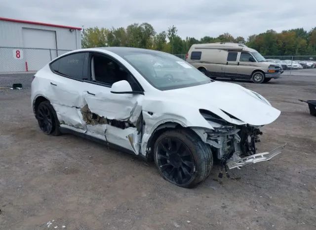 TESLA MODEL Y 2020 5yjygdee1lf012724