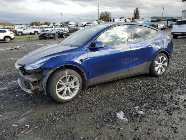 TESLA MODEL Y 2020 5yjygdee1lf024789