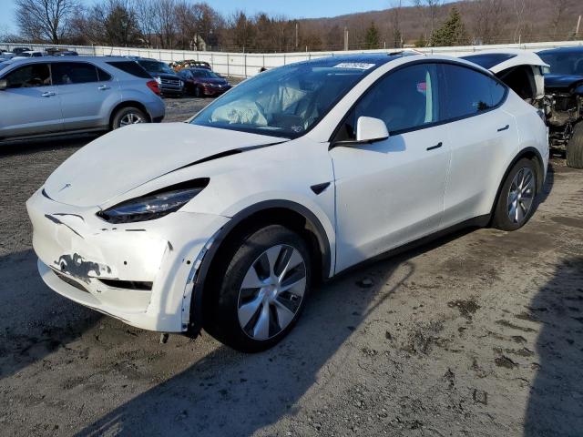 TESLA MODEL Y 2020 5yjygdee1lf047943