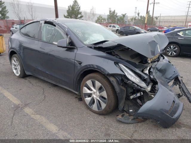 TESLA MODEL Y 2020 5yjygdee1lf054116