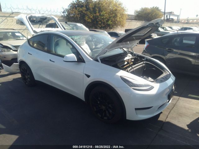 TESLA MODEL Y 2020 5yjygdee1lf058456