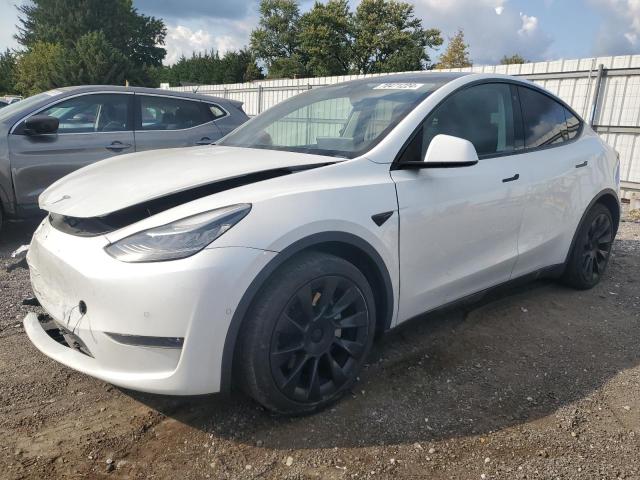 TESLA MODEL Y 2021 5yjygdee1mf071385