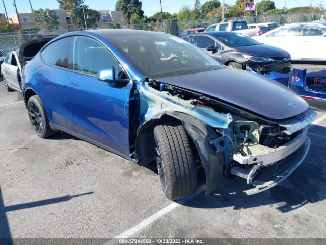 TESLA MODEL Y 2021 5yjygdee1mf073699