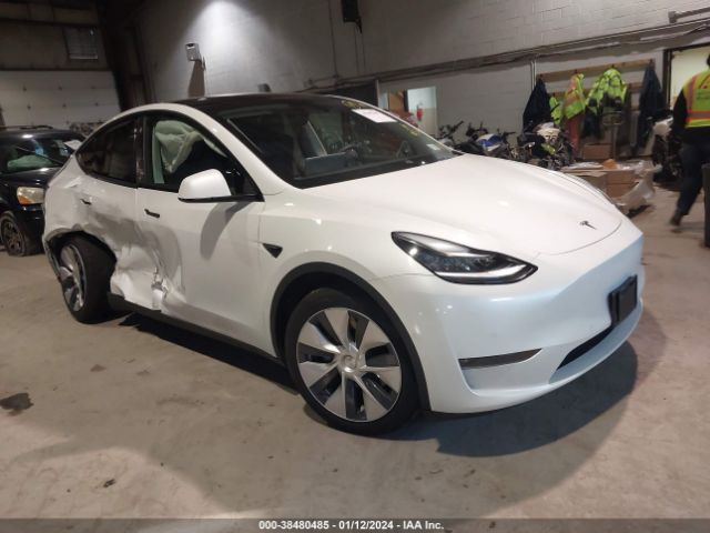 TESLA MODEL Y 2021 5yjygdee1mf082354