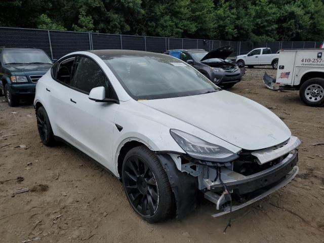 TESLA MODEL Y 2021 5yjygdee1mf111626