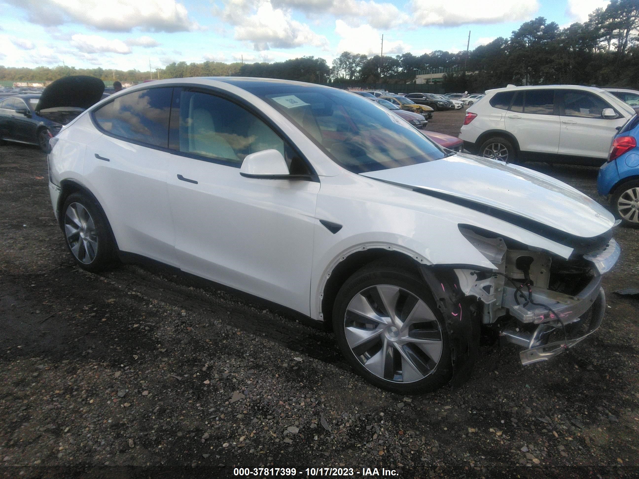 TESLA MODEL Y 2021 5yjygdee1mf154007