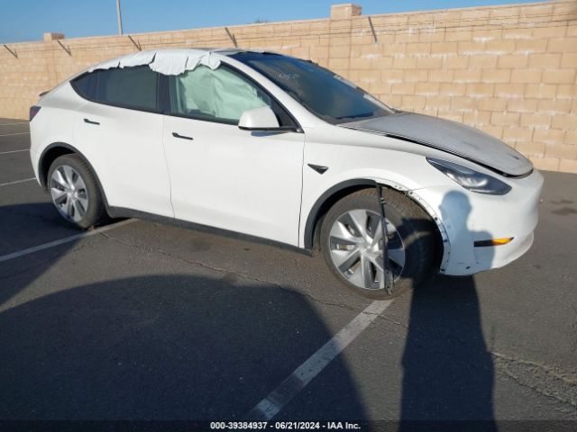 TESLA MODEL Y 2021 5yjygdee1mf158963