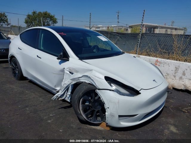 TESLA MODEL Y 2021 5yjygdee1mf160910